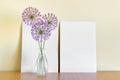 Mockup template with two A4 paper sheets standing next to yellow wall with circular garlic pink flowers Royalty Free Stock Photo
