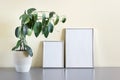 Mockup template with two silver frames A5 and A4 standing next to wall with home plant in pot Royalty Free Stock Photo