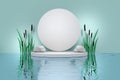 Mockup template with white circle podium, pedestal and nature elements - water surface and reed water plant