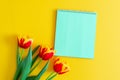 Mockup. Time of spring. Green notebook on a yellow background with a red bouquet of fresh flowers tulips. Copy space for Royalty Free Stock Photo