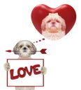 Mockup valentine heart with cute dog