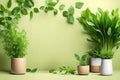 mockup wall with Bountiful Indoor Garden Blooming with plants