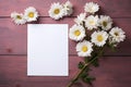 mockup white blank paper sheet with white daisies flowers top view on painted wooden background, floral template empty card flat Royalty Free Stock Photo