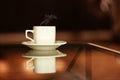 Mockup white cup with hot drink and steam on a mirror table with copy space. Hot steaming mug of coffee or tea with a Royalty Free Stock Photo