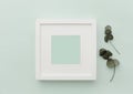 Mockup white frame. Neutral Minimalist Flat Lay Scene with Cactus.