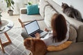 Mockup white screen laptop woman using computer and two pet cat lying on sofa at home, back view, focus on screen Royalty Free Stock Photo