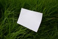 Mockup of white A4 sheet on green grass in raindrops with scattered focus.