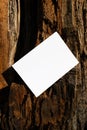 Mockup of a white A4 sheet of paper on the red bark of a tree trunk. Soft diffuse focus. Poster mockup, letterhead with Royalty Free Stock Photo