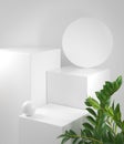 Mockup White Step Clean Podium With Tropic Plant Abstract Background 3d Render