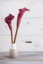 Mockup wooden background with purple calla lilly