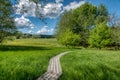 Mocvara - swamp area with wooden path in Goricko Royalty Free Stock Photo