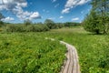 Mocvara - swamp area with wooden path in Goricko Royalty Free Stock Photo