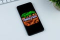 MOD-MASTER for Minecraft PE Pocket Edition app logo on a smartphone screen.