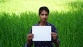 Advertisement and model industry concept. Young Indian boy posing in green field for a Model advertisement company Royalty Free Stock Photo