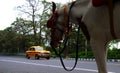 Mode of transportation in kolkata