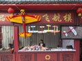 Model airplane shop in sun festival,chengdu,china