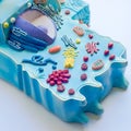 Model of animal cell