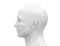 Blank White Male Head - Side view