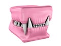 Model of cat teeth cast.