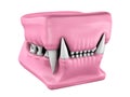 Model of cat teeth cast. Royalty Free Stock Photo