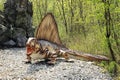 Model of Dimetrodon Dinosaur with Open Mouth
