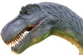 Model dinosaur head on white background Royalty Free Stock Photo