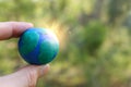 Model of earth on the ground in the forest with bright sun light. Sustainability and ecology concept Royalty Free Stock Photo