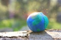 Model of earth on the ground in the forest with bright sun light. Sustainability and ecology concept Royalty Free Stock Photo