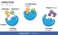 Model of enzyme activity: induced Fir model of catalytic action with substrate and product