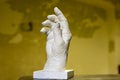 Model of hand plaster cast