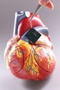 Model of heart with cardiac pacemaker in form of chip Royalty Free Stock Photo
