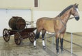 Model horses and vintage fire wagon