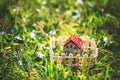 Model of house with fence