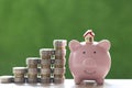 Model house on piggy bank with stack of coins money on nature green background  Saving money for new home concept Royalty Free Stock Photo