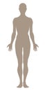 Model of the human body, silhouette variant