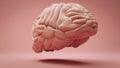 Model of human brain floating over pink studio background. Concept of creativity, intelligence, innovation and