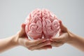 Model human brain held in hand, isolated on a white surface Royalty Free Stock Photo
