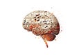 Illustration of model of human brain with musical notes on white background. Profile view. Intelligence concept. Generative AI