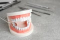 Model of jaw with teeth and dentist mirror on grey table, closeup. Space for text Royalty Free Stock Photo