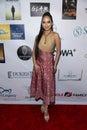 Suzanne DeLaurentiis 15th Annual Pre-Oscar Gala and Gifting Suite to Honor Our Veterans Royalty Free Stock Photo