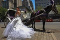 Model Kalyn Hemphill poses in front of horse carriage