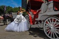 Model Kalyn Hemphill poses in front of horse carriage