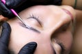 The model lies on the procedure of lamination of the eyebrows the master applies the composition for lamination on the eyebrows of