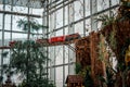 Model locomotive train on a bridge in a greenhouse