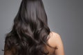 model with long curly dark brown hair on grey background. rear view