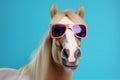 sunglasses smile funny goggles humor portrait animal colourful horse background fun. Generative AI.