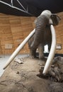 Model of mastodon