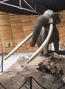 Model of mastodon Royalty Free Stock Photo