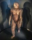 Model of a Neanderthal in the Museum of Human Evolution