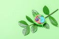 Model of plant cell on green background. Green world and education concept Royalty Free Stock Photo